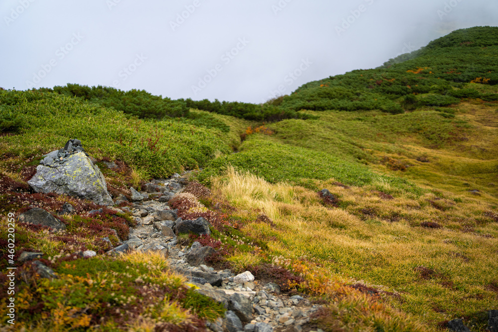 Fototapeta premium 富山県立山町の立山の秋の紅葉の季節に登山している風景 Scenery of climbing Tateyama Mountain in Tateyama Town, Toyama Prefecture, Japan during the season of autumn leaves. 