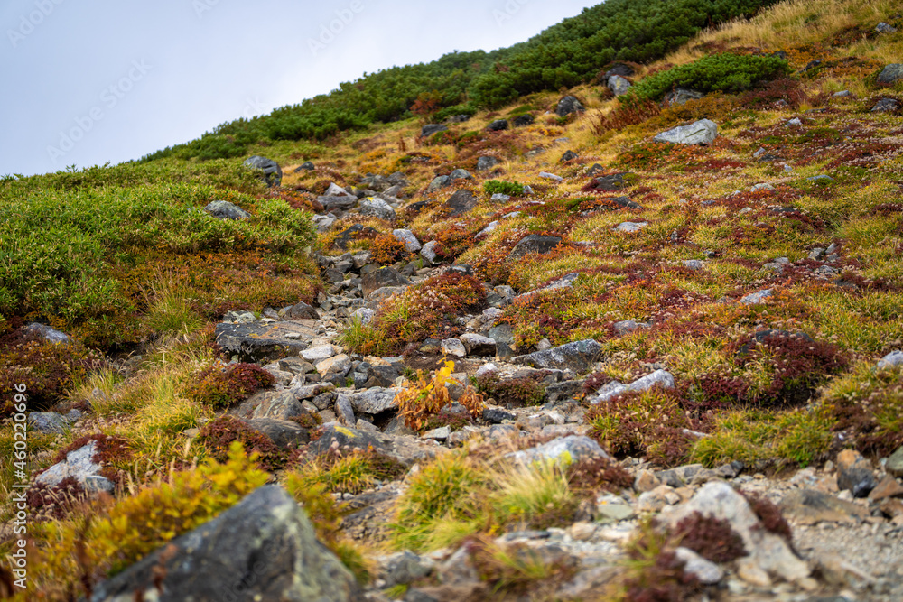 富山県立山町の立山の秋の紅葉の季節に登山している風景 Scenery of climbing Tateyama Mountain in Tateyama Town, Toyama Prefecture, Japan during the season of autumn leaves. 