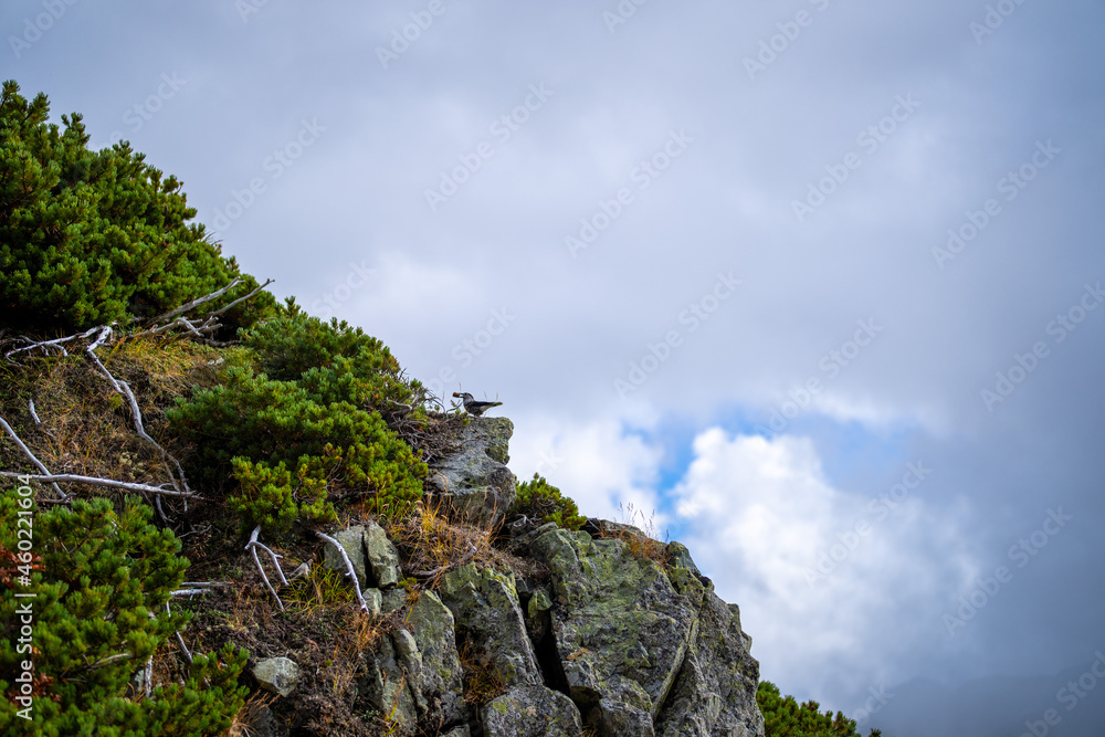 富山県立山町の立山の秋の紅葉の季節に登山している風景 Scenery of climbing Tateyama Mountain in Tateyama Town, Toyama Prefecture, Japan during the season of autumn leaves. 富山県立山町の立山の秋の紅葉の季節に登山している風景 Scenery of climbing Tateyama Mountain in Tateyama Town, Toyama Prefecture, Japan during the season of autumn leaves.