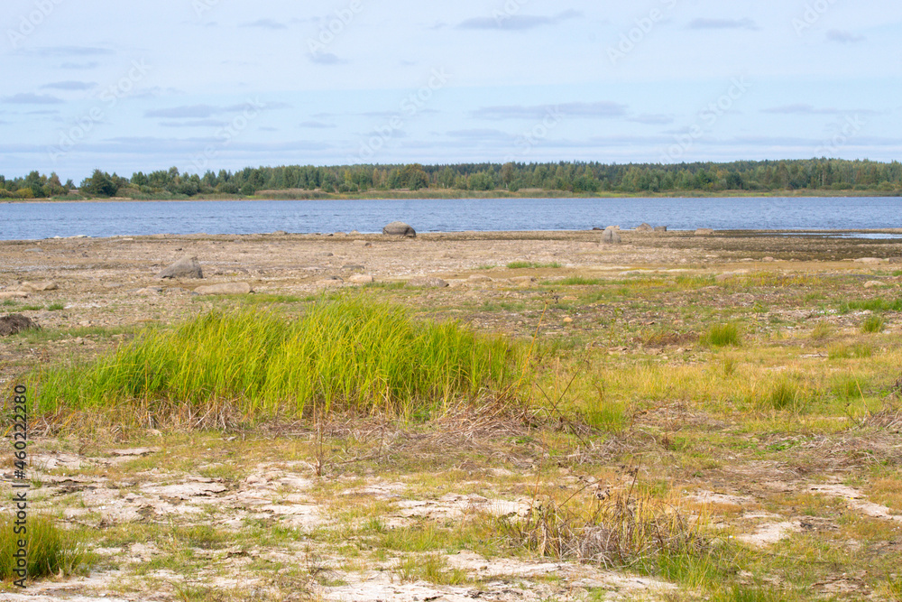 Drying bottom of the river against the background of a natural landscape - shore, trees, sky. Low water level in the reservoir. Drying bottom of the river against the background of a natural landscape - shore, trees, sky. Low water level in the reservoir.