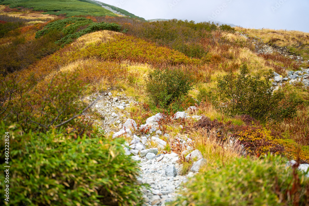 富山県立山町の立山の秋の紅葉の季節に登山している風景 Scenery of climbing Tateyama Mountain in Tateyama Town, Toyama Prefecture, Japan during the season of autumn leaves. 富山県立山町の立山の秋の紅葉の季節に登山している風景 Scenery of climbing Tateyama Mountain in Tateyama Town, Toyama Prefecture, Japan during the season of autumn leaves.