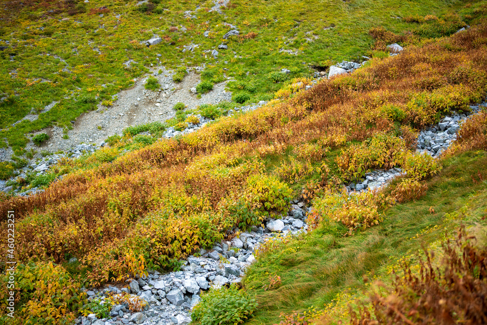 富山県立山町の立山の秋の紅葉の季節に登山している風景 Scenery of climbing Tateyama Mountain in Tateyama Town, Toyama Prefecture, Japan during the season of autumn leaves. 