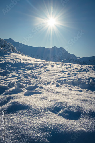 Fresh powder in snowy mountains, Western Tatra National Park, Poland. Bright sunlight over Carpathian range. Selective focus on the details, blurred background.