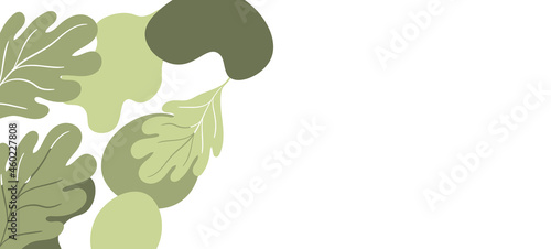 Floral web banner with drawn color exotic leaves. Nature concept design. Modern floral compositions with summer branches. Vector illustration on the theme of ecology, natura, environment