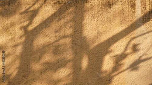 Photography The old and beautiful buildings view with the warm sunlight and shadow on them i