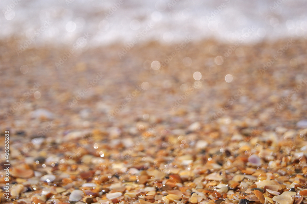 A crashing blue and green wave of water and sand on the ocean shore. Background for design with sea shells A crashing blue and green wave of water and sand on the ocean shore. Background for design with sea shells