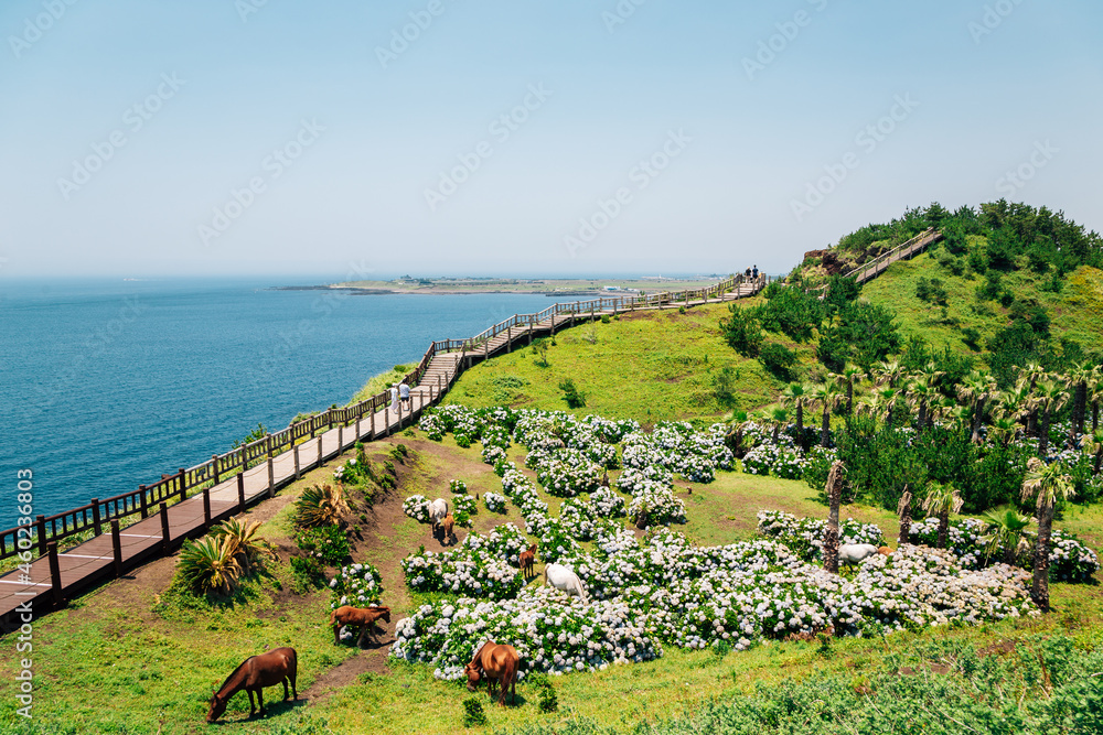 Songaksan Mountain trail with sea in Jeju Island, Korea