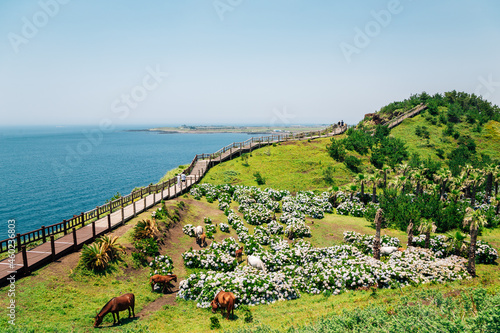 Obraz na płótnie Songaksan Mountain trail with sea in Jeju Island, Korea w salonie