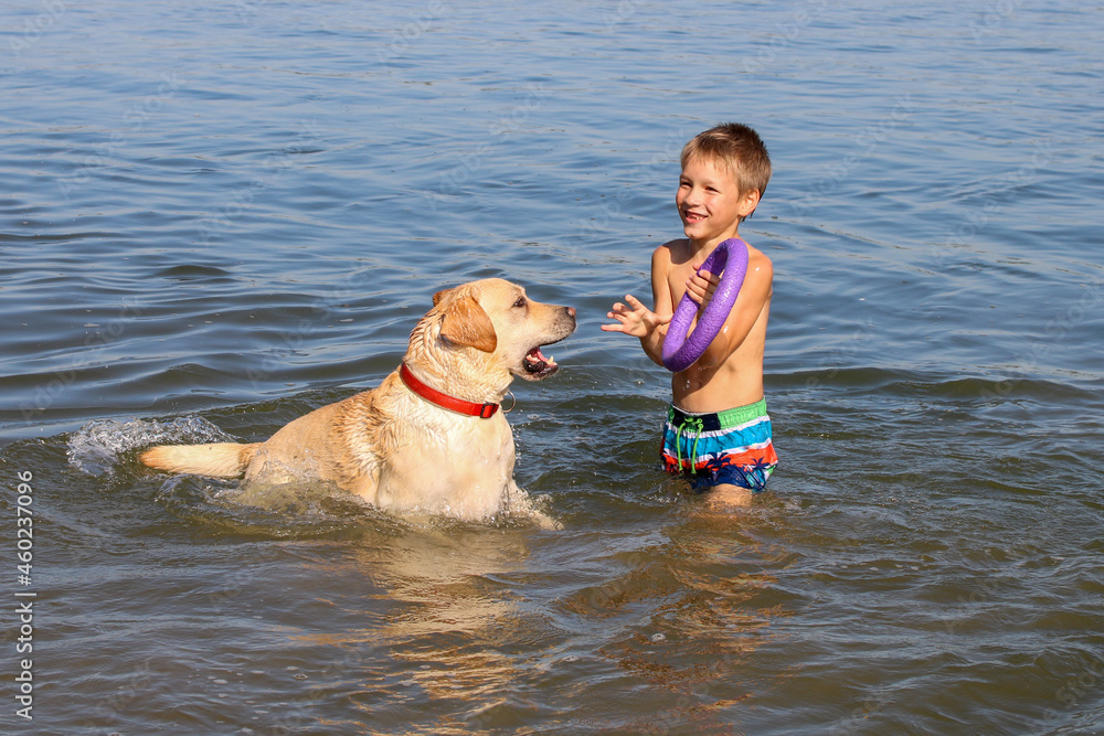 happy and carefree childhood. Happy boy with dog swims in the water. Golden retriever labrador plays with a child in the river in summer