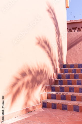 Shadows from the branches of palm trees on an terracotta wall and a staircase with steps lined with ceramic tiles photo