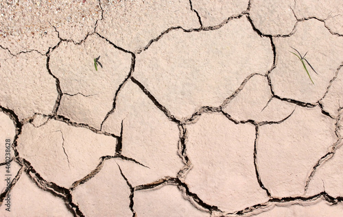Pattern formed in dry and cracked earth with signs of new life green grass sprouting up. Global warming drought concept. 