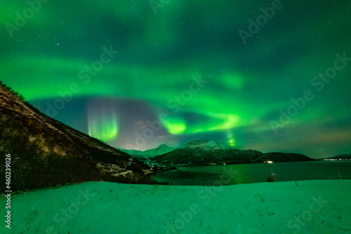 Fototapeta Naklejka Na Ścianę i Meble -  wundervolle Nordlichter in Troms in den Lyngenalps spiegeln sich im Wasser des Fjord. begeisterndes Lichtspiel am nächtlichen Himmel, Aurora Borealis bei Tromsö