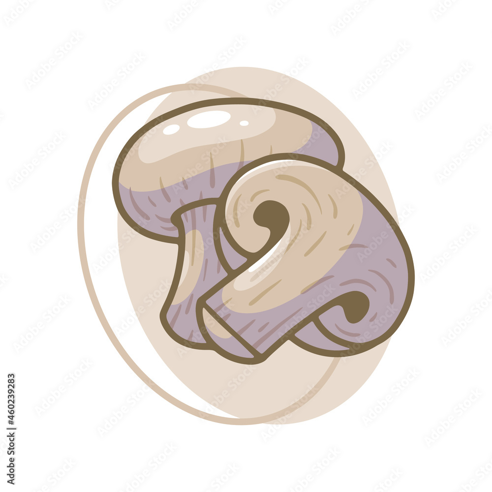 Mushroom vegetables drawing illustration design Mushroom vegetables drawing illustration design