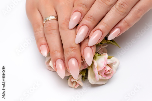 Wedding manicure white ombre on long sharp nails close-up on a white background holding flowers.