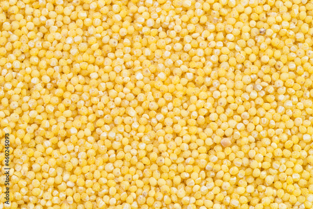 scattering of millet grains scattering of millet grains