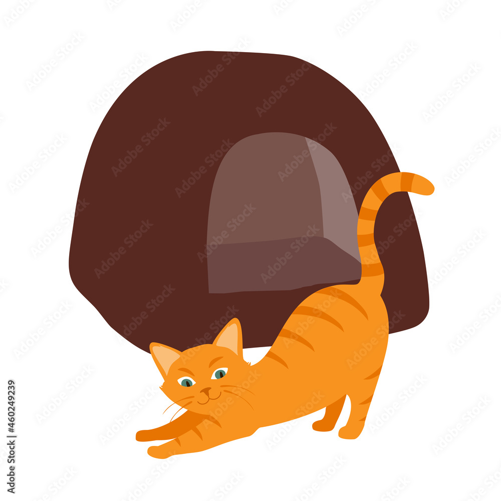Ginger cat and his soft cozy bed cushion in different poses Ginger cat and his soft cozy bed cushion in different poses