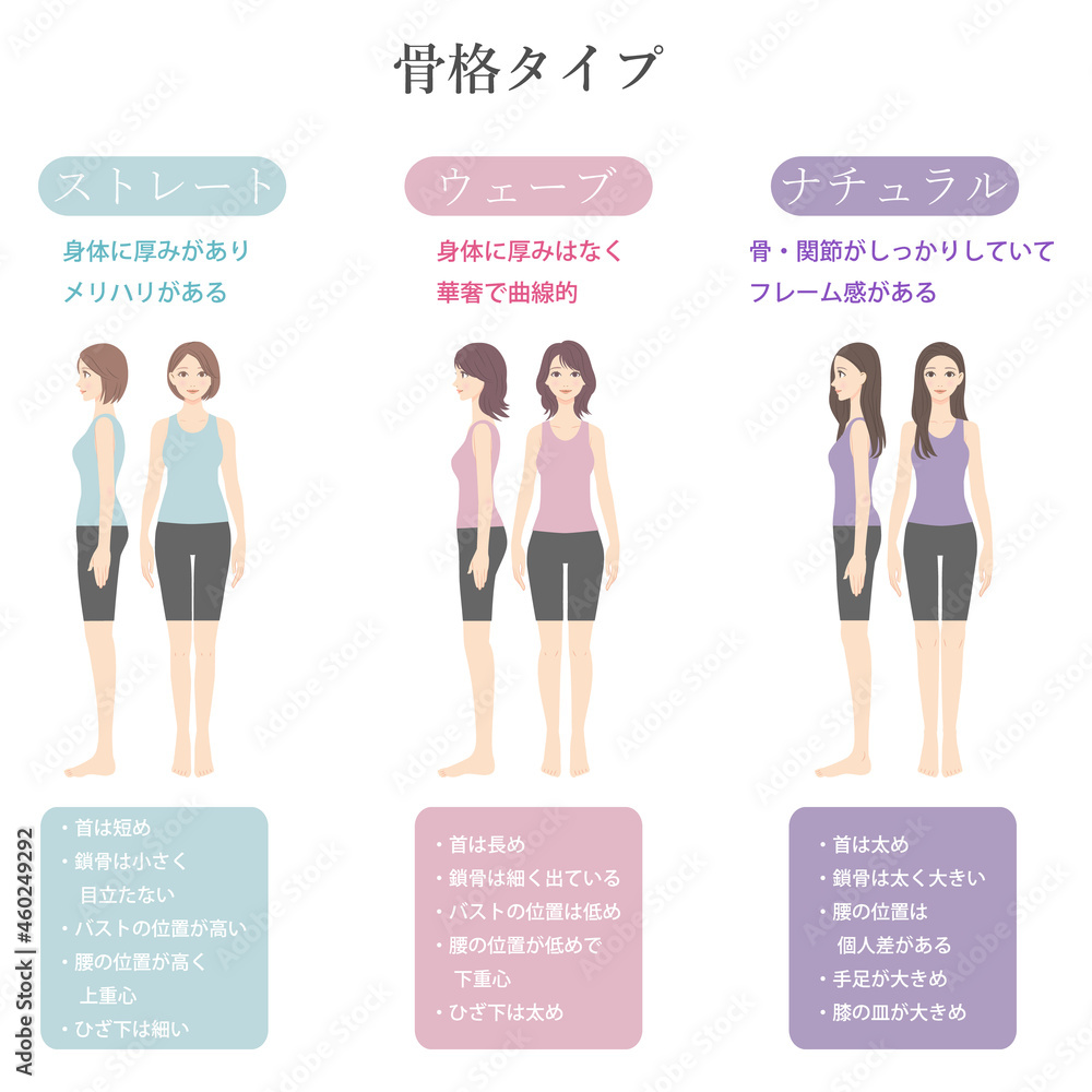 骨格診断 骨格ナチュラルのイラスト 正面と横向き Stock Vector Adobe Stock