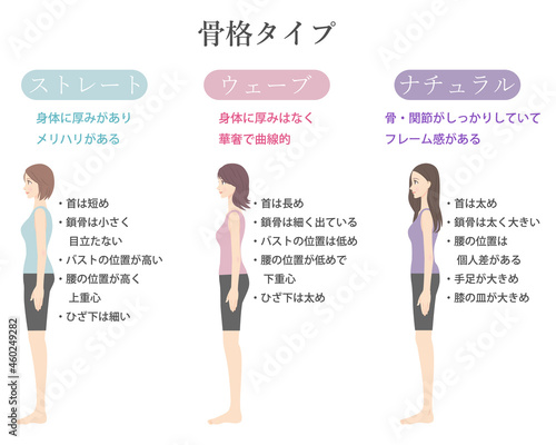 骨格診断イラスト　3タイプ　横向き