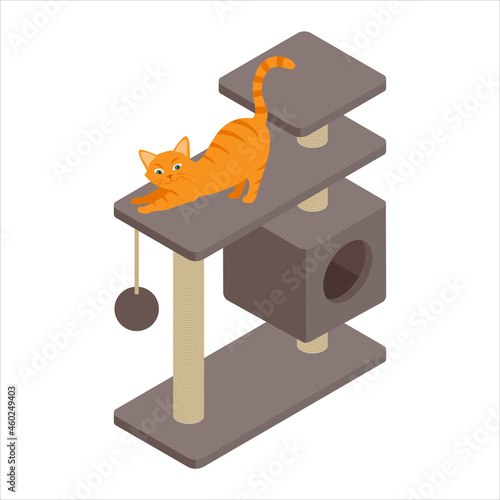 Cute ginger cat playing on tree at home