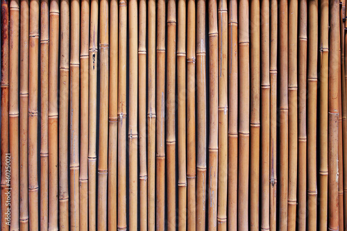 bamboo wall abstract texture background composition, top view above