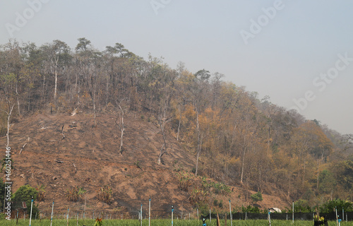 Scenery of deforested mountainous area for invasive agriculture in  tropical forest.