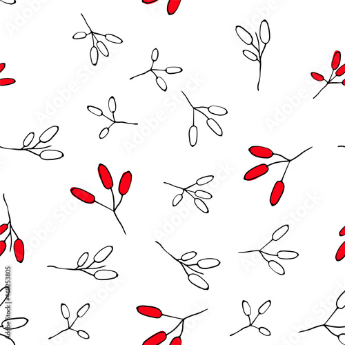 Barberry seamless pattern. Hand drawn berry background. photo