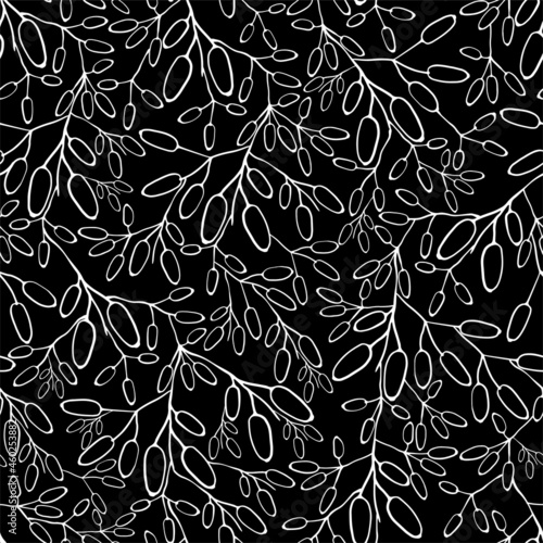 Barberry seamless pattern. Hand drawn berry background.
