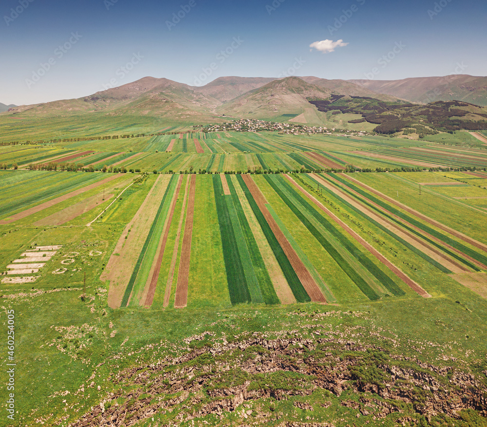 Panoramic aerial view of green and plowed agricultural fields. Rural land and agribusiness concept
