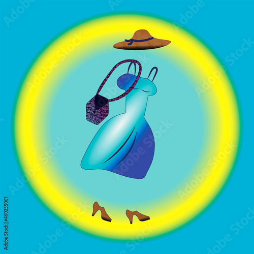 A clothes set with a dress, handbag, shoes and bonnet