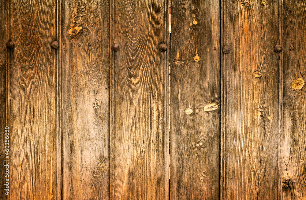 Naklejka premium Detail of old wooden door in brown tones with a lot of texture and rusty iron nails, with copy space at the bottom.