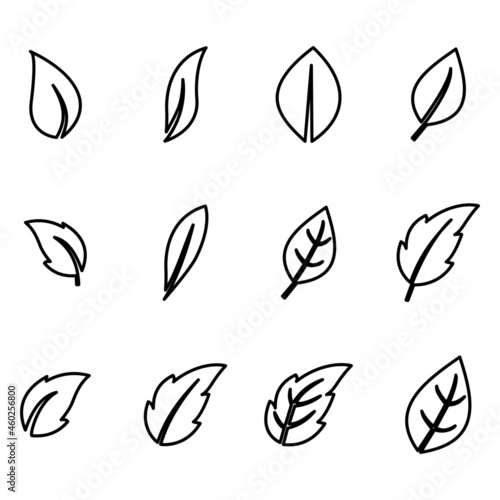 Fototapeta Naklejka Na Ścianę i Meble -  Leaf design icon. Green leaf plant symbol nature. vector illustration