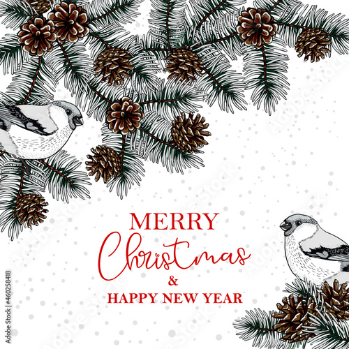 Christmas tree with bullfinch cones, on a white background. New Year's composition, postcard, garland, frame, edging. Souvenirs, congratulations, banner for the new year.