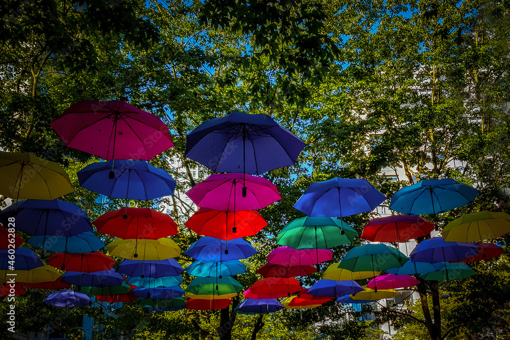 colorful umbrellas in the garden