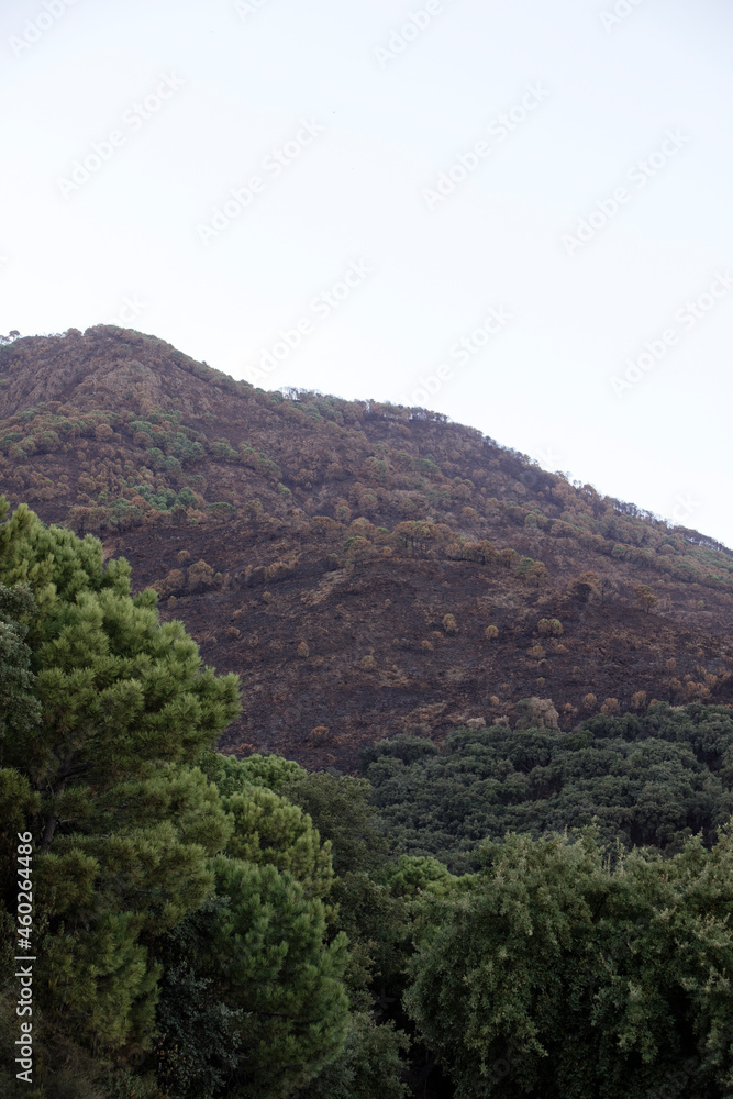 General view of Sierra Bermeja after the fire