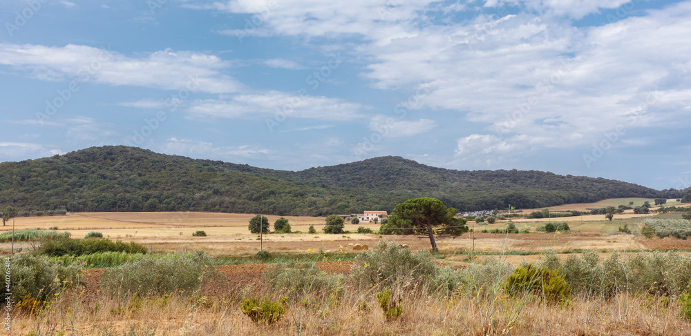 Fototapeta premium Province of Grosseto, Tuscany, Italy - July 27, 2021: Landscape in Maremma, the coastal area of western central Italy, bordering the Tyrrhenian Sea.