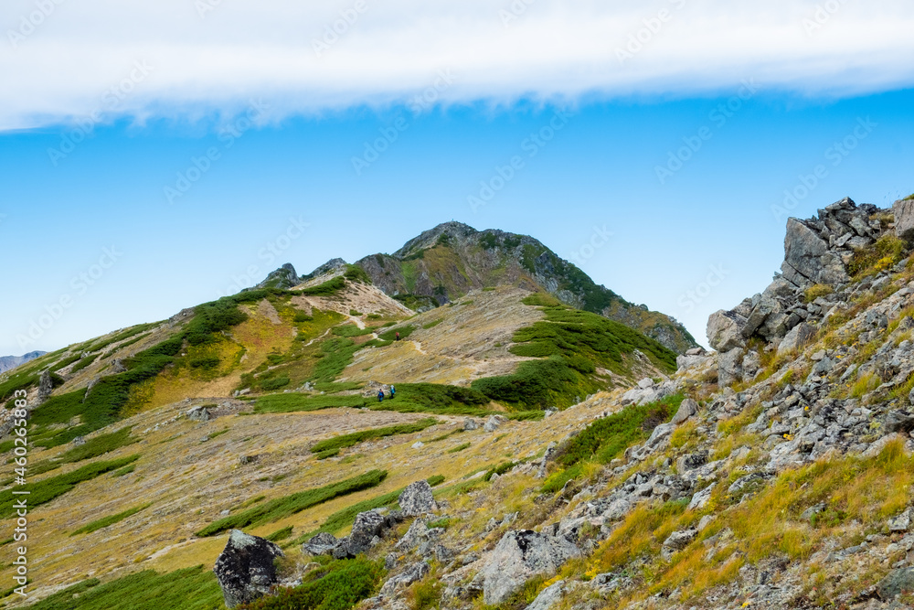 Fototapeta premium あの山に続く道