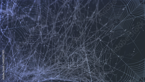 Dark vector background with spider web.