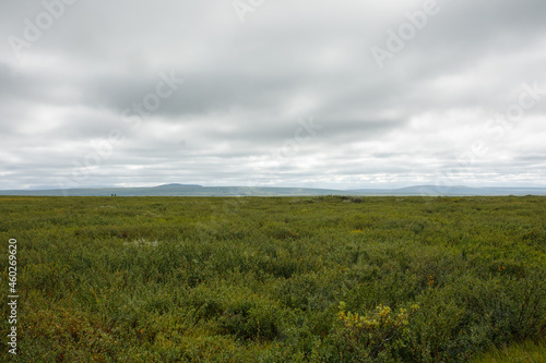 The evening fog rolls in over the grass fields and in , as the sun sets.Travel concept.