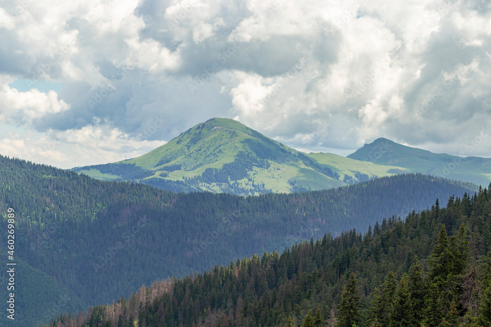 View of the Romanian mountain Farkau border with Ukraine and Romania. Location place of Carpathian mountains, Farcau peak, Romania, Europe. Image of attractive summer scene, nature wallpapers. View of the Romanian mountain Farkau border with Ukraine and Romania. Location place of Carpathian mountains, Farcau peak, Romania, Europe. Image of attractive summer scene, nature wallpapers.