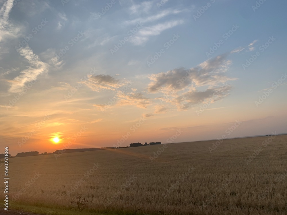 Sunset above Barley Field