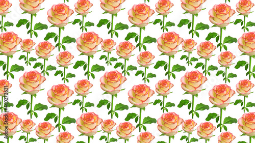 Floral pattern. Repeating pattern of yellow roses on a white background.