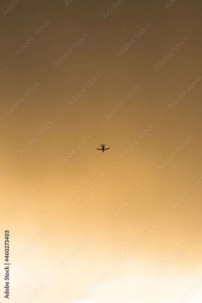 Airplane in the sunset sky. Airplane in flight