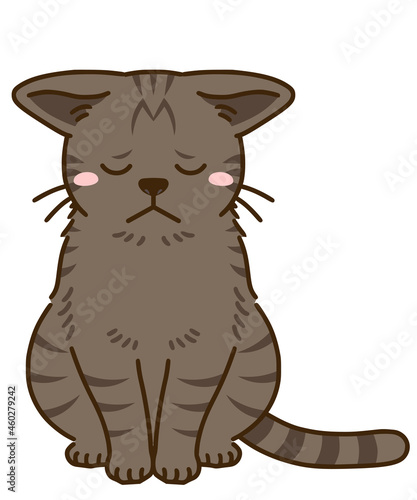 落ち込む猫（キジトラ）