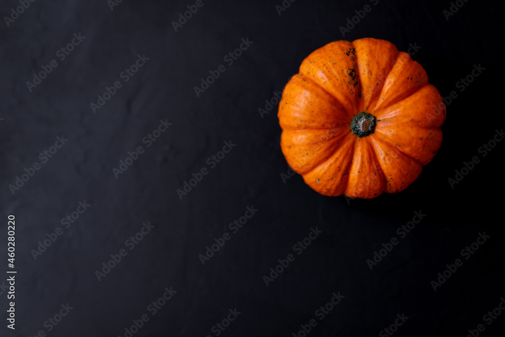 Autumn Pumpkin Thanksgiving Background - orange pumpkins over black table Autumn Pumpkin Thanksgiving Background - orange pumpkins over black table