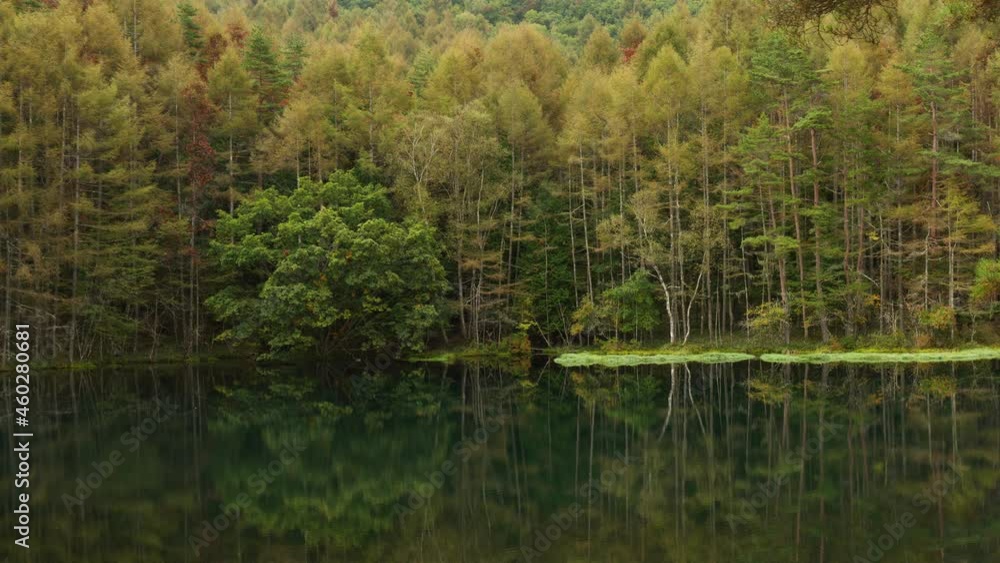 秋の朝の御射鹿池 9月末 秋の朝の御射鹿池 9月末
