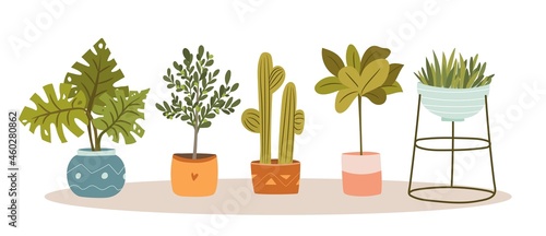 Set of isolated houseplants. Various cozy home potted indoor or office plants. Flat vector illustration