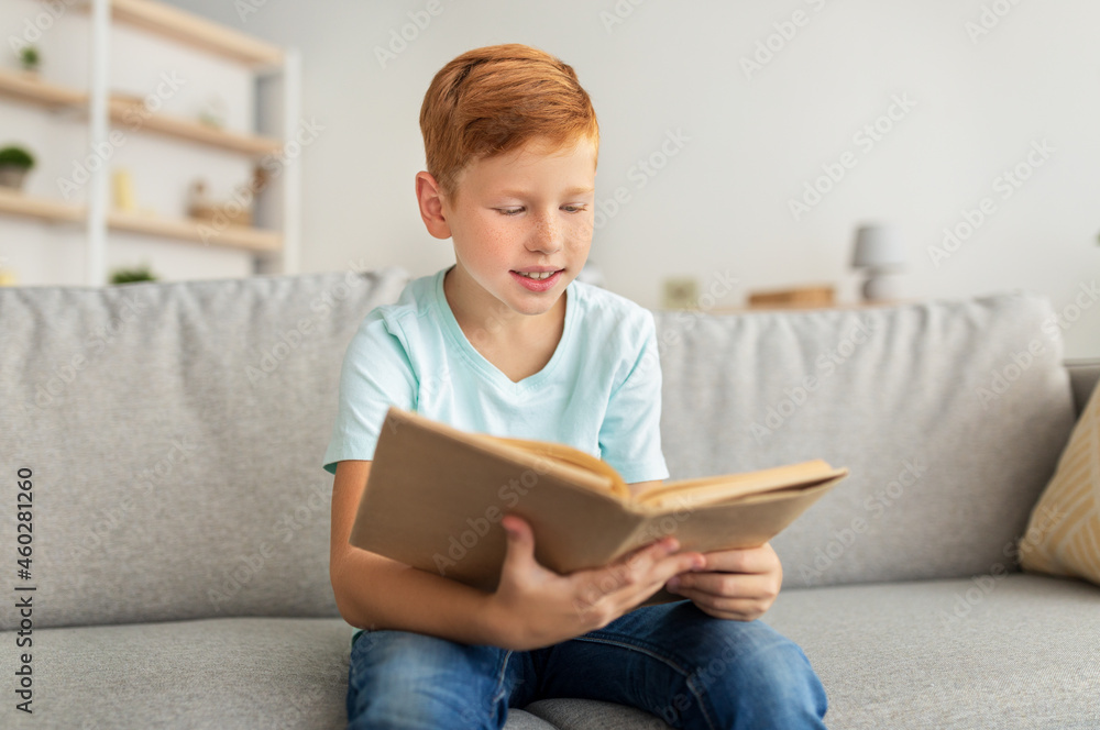Cute redhead boy sitting at home, reading book Cute redhead boy sitting at home, reading book