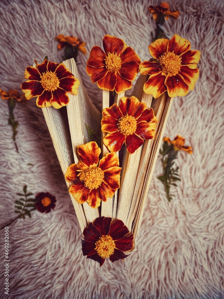 Fototapeta premium flowers in a basket