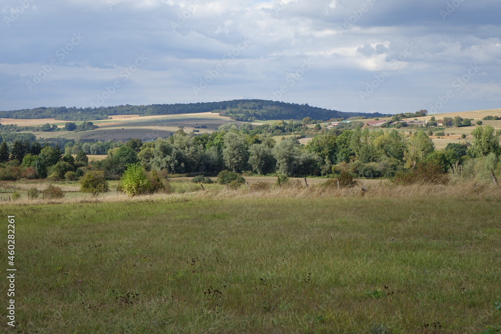 Typical Wallonian landscape in late summer near Torgny, Rouvroy, Wallonia, southernmost village of Belgium