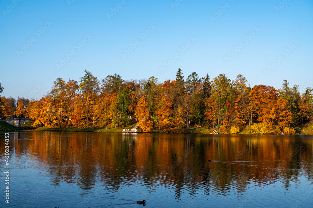 Obraz premium autumn colors in the park